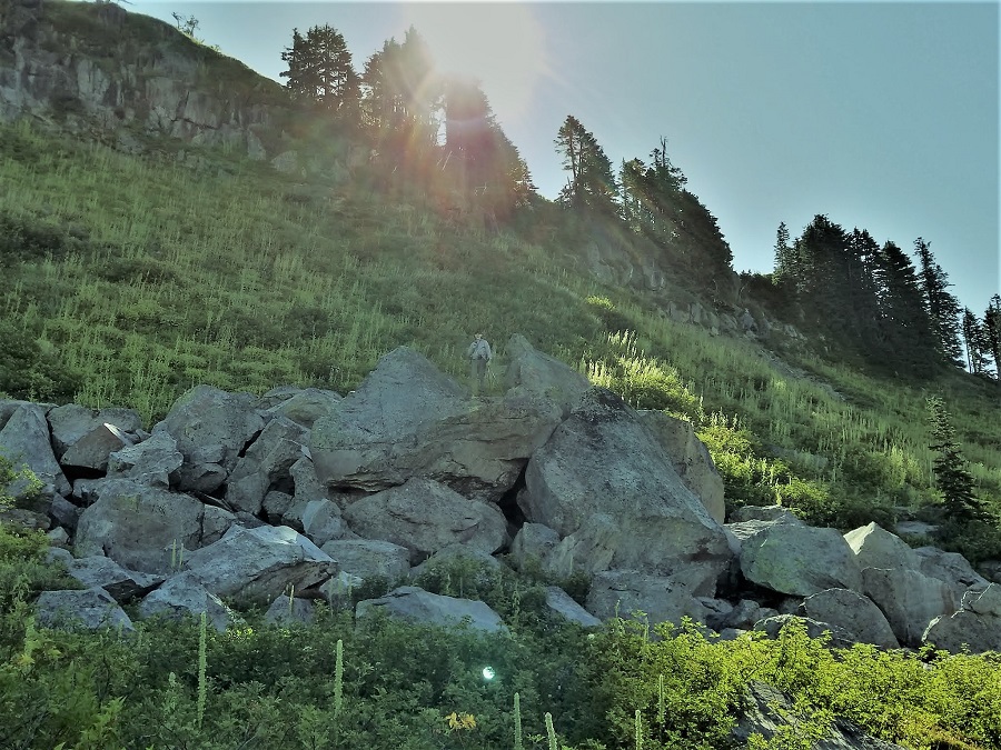 JT on Boulders - Paradise Park Mt. Hood